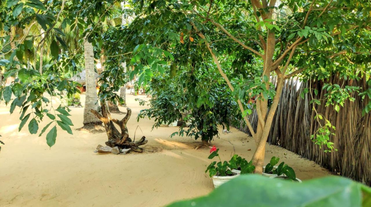 Roshanne Beach Resort Kalpitiya Ngoại thất bức ảnh
