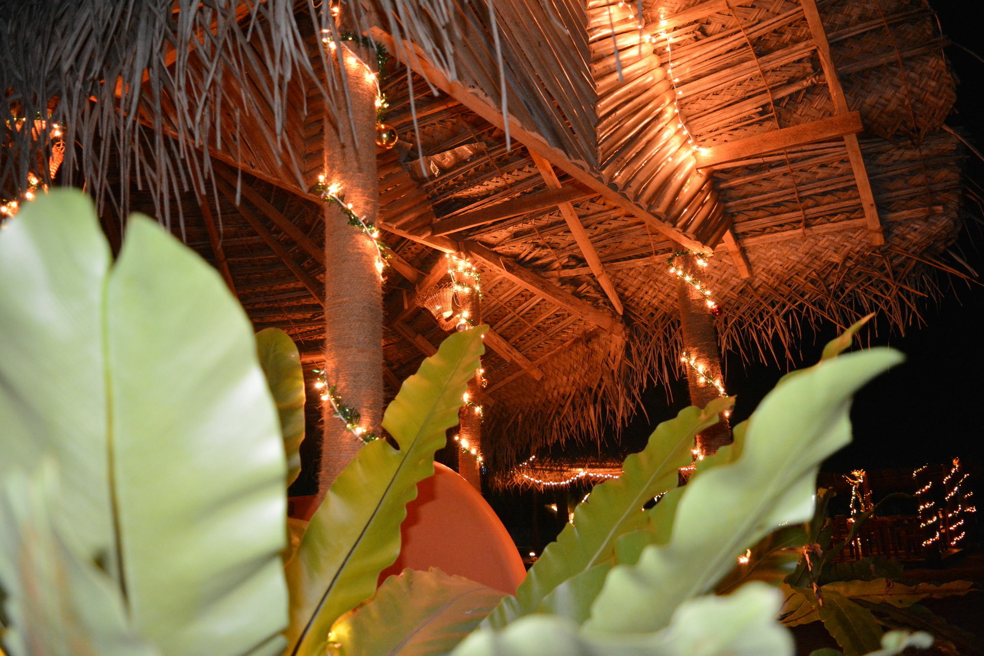 Roshanne Beach Resort Kalpitiya Ngoại thất bức ảnh